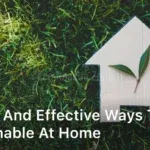 Simple and Effective Ways to Be Sustainable At Home