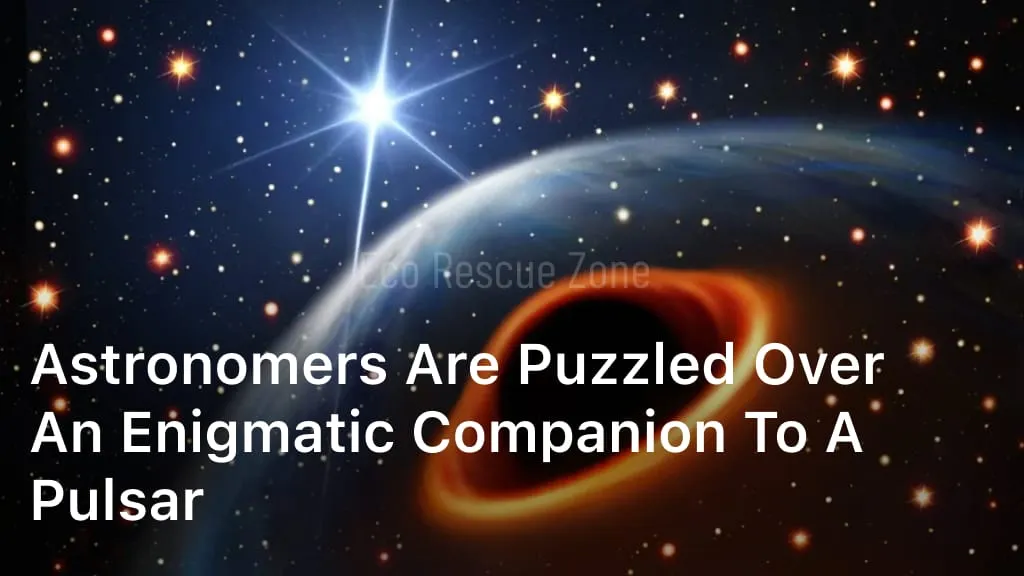 Astronomers are Puzzled Over an Enigmatic Companion to a Pulsar